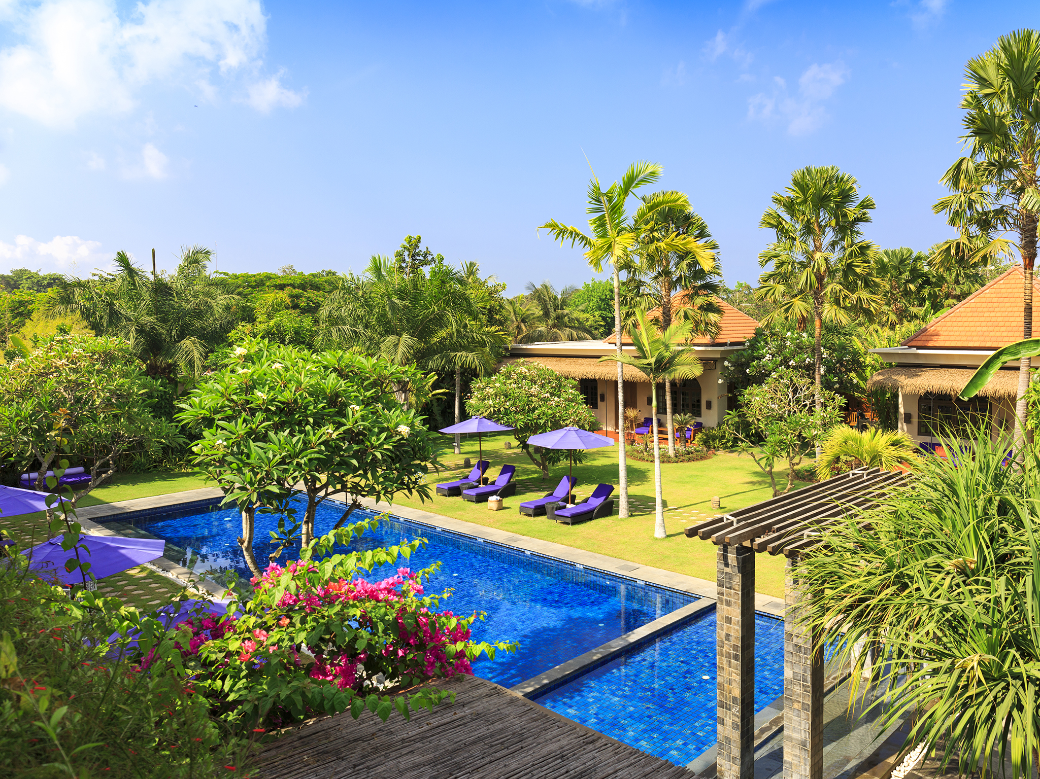 bali image